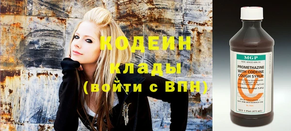 сатива Надым