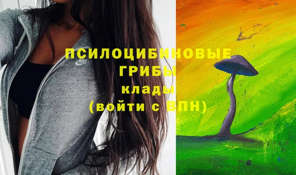 сатива Надым