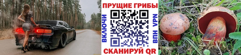 Купить  Ессентуки  Псилоцибиновые грибы MAGIC MUSHROOMS 